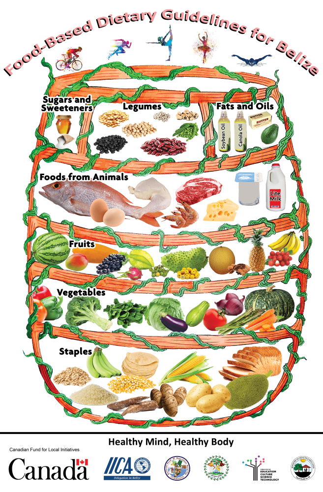 Promoting Healthy Lifestyles and the Consumption of Locally Produced